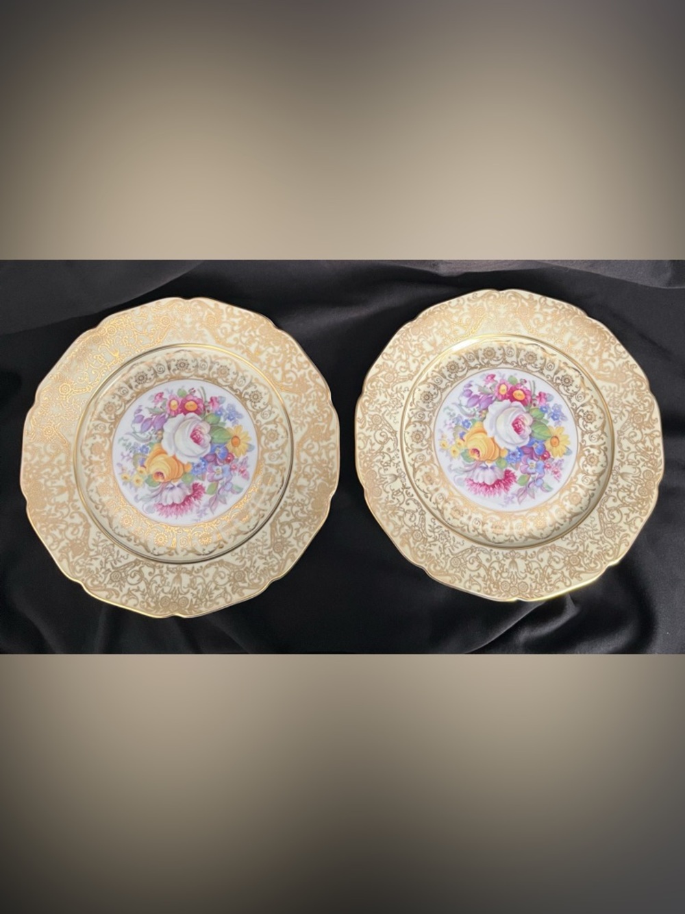 Two Vintage Bohemia Floral Dinner Plates